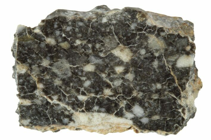 Polished Lunar Meteorite Slice ( g) - NWA #249933